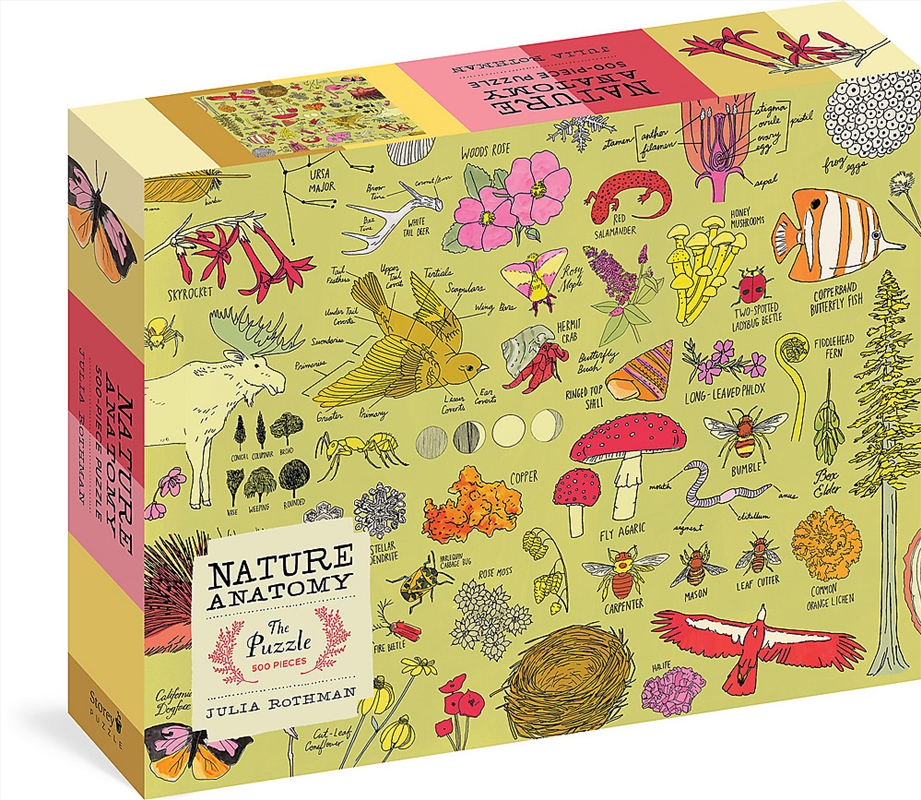 Nature Anatomy: The Puzzle (500 pieces)/Product Detail/Jigsaw Puzzles