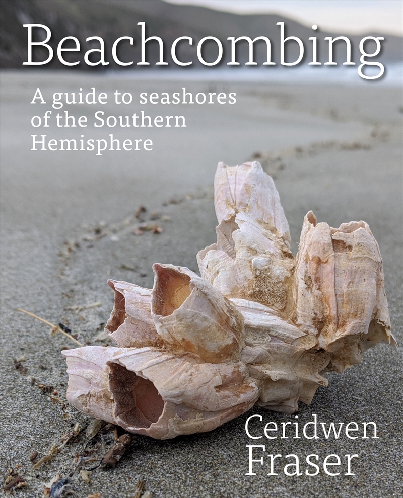 Beachcombing/Product Detail/Science