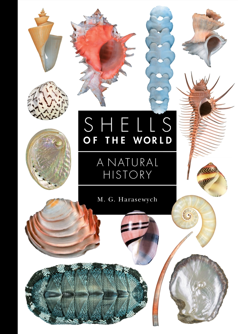 Shells of the World/Product Detail/Animals & Nature