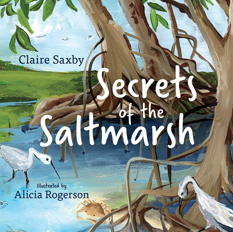 Secrets of the Saltmarsh/Product Detail/Childrens