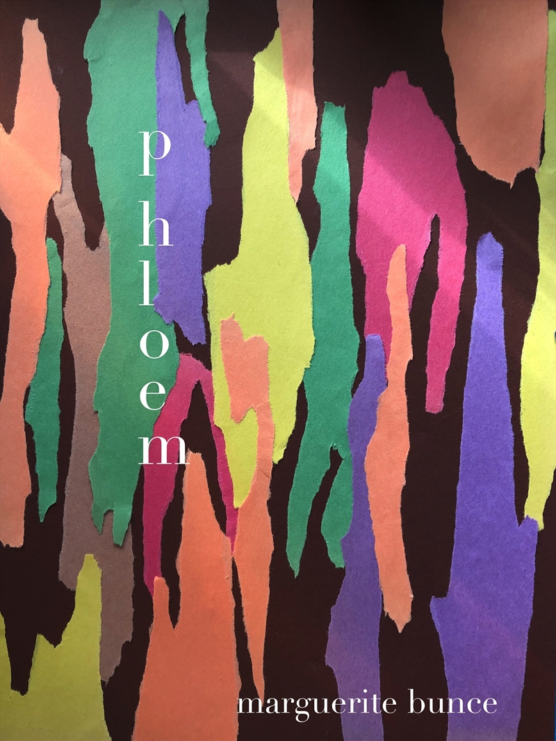 Phloem/Product Detail/Reading