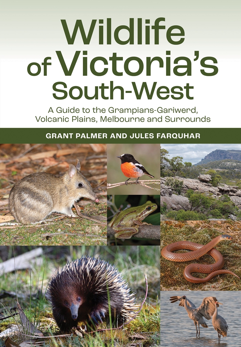 Wildlife of Victoria's South-West/Product Detail/Animals & Nature