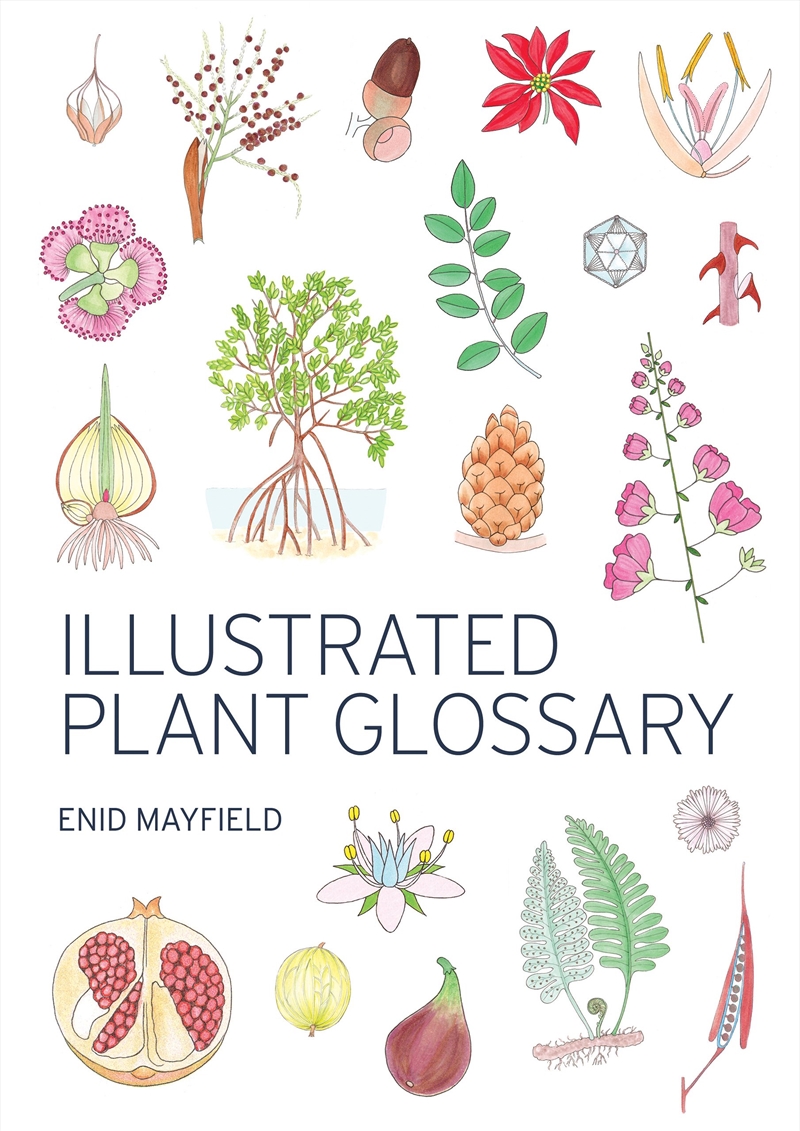 Illustrated Plant Glossary/Product Detail/Art