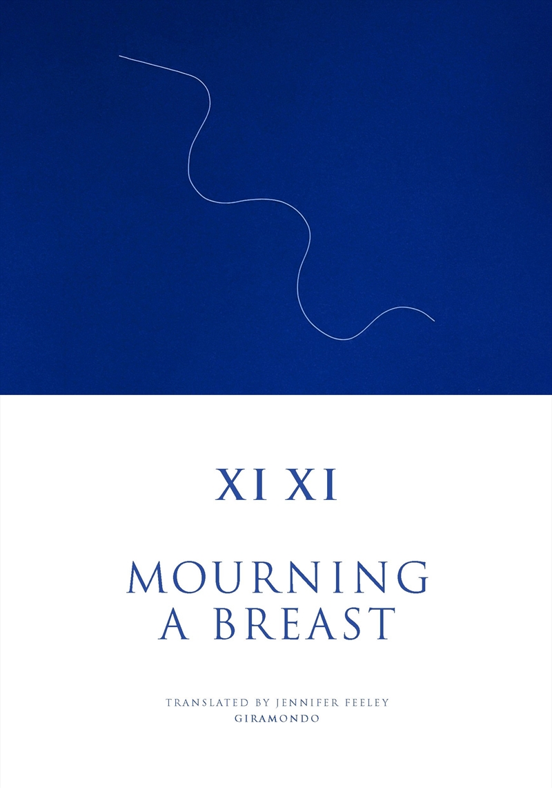 Mourning a Breast/Product Detail/General Fiction Books