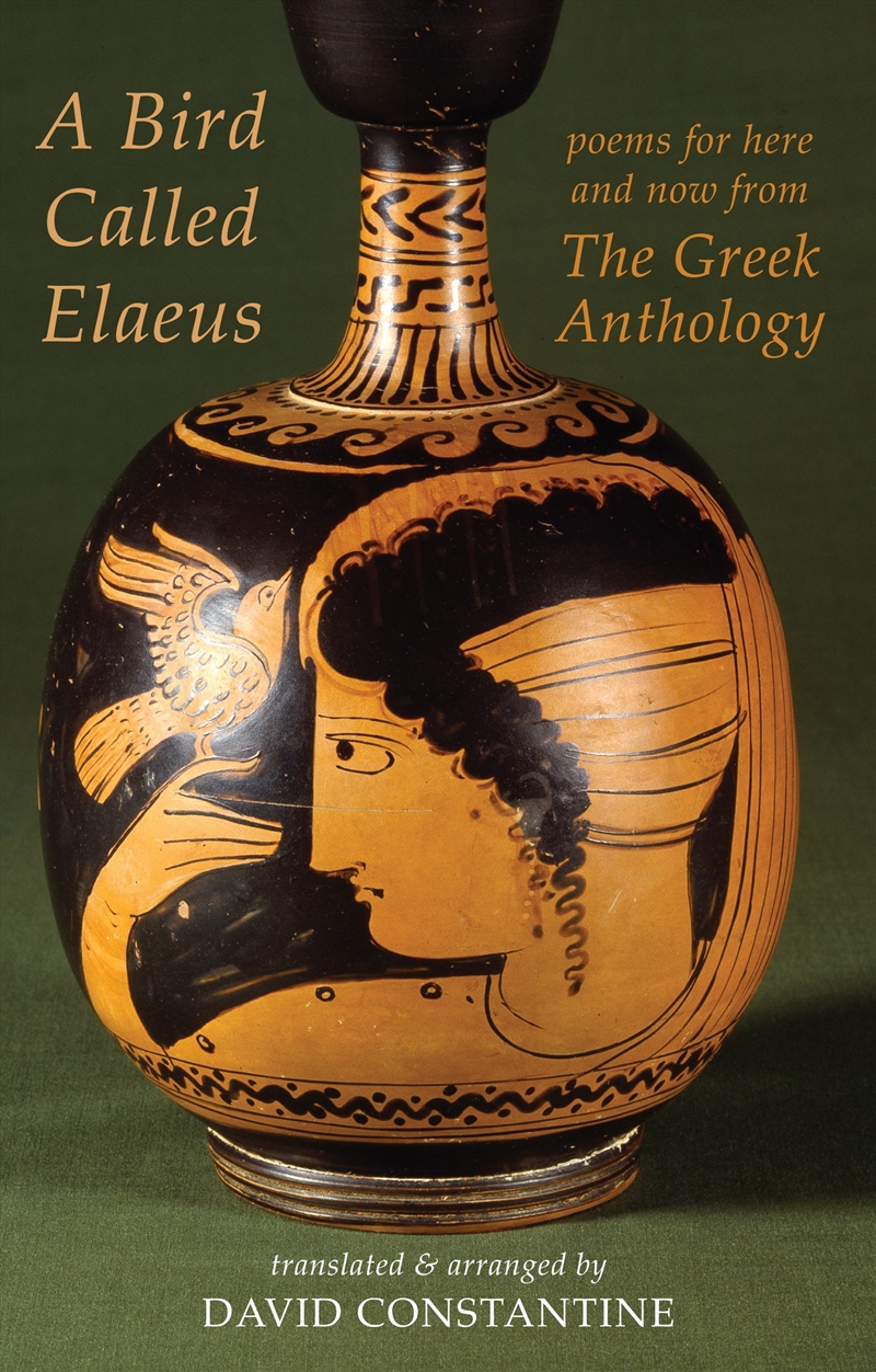 A Bird Called Elaeus/Product Detail/Reading
