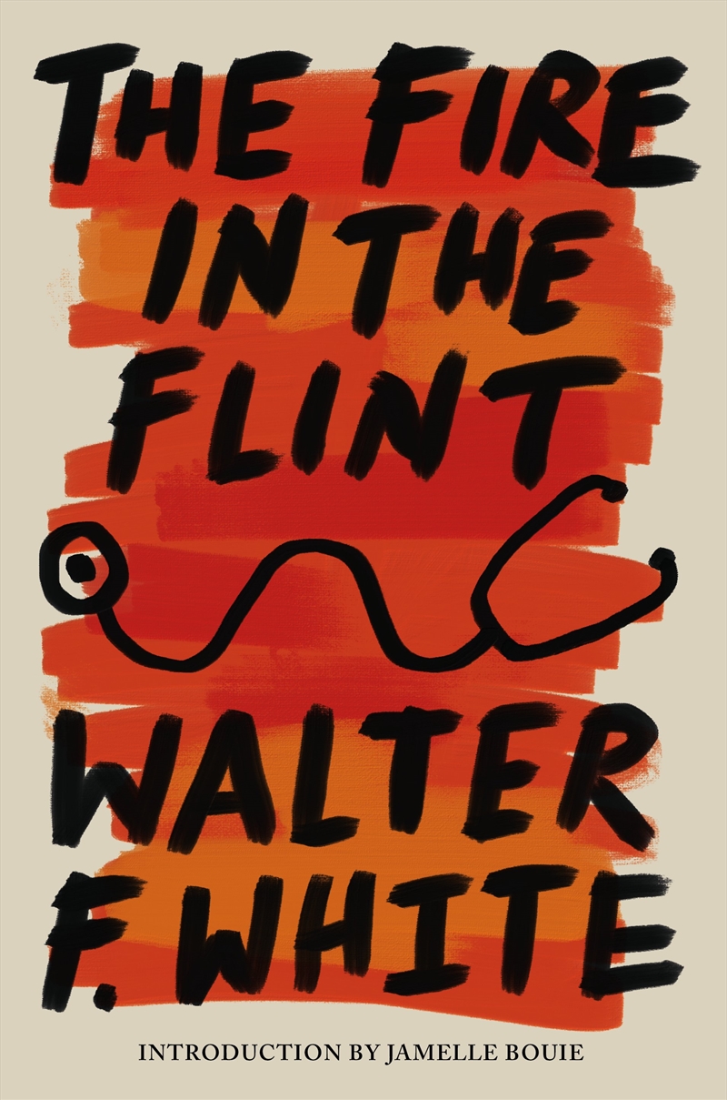 The Fire in the Flint/Product Detail/General Fiction Books