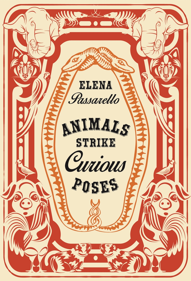 Animals Strike Curious Poses/Product Detail/Literature & Poetry
