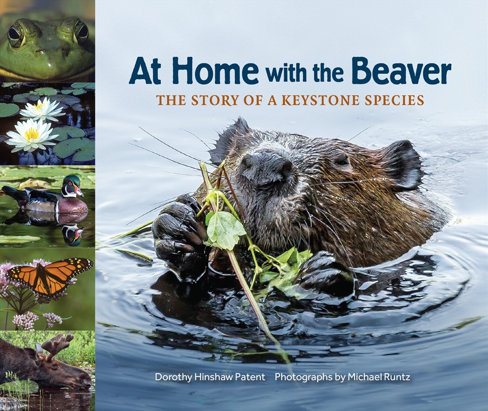 At Home with the Beaver/Product Detail/Childrens
