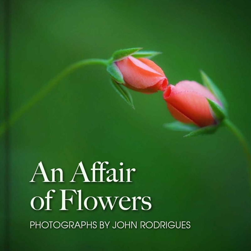An Affair of Flowers/Product Detail/Photography
