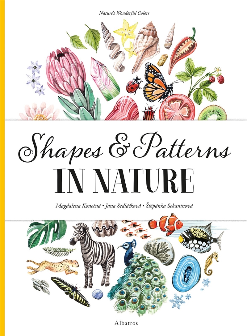 Shapes and Patterns in Nature/Product Detail/Early Childhood Fiction Books