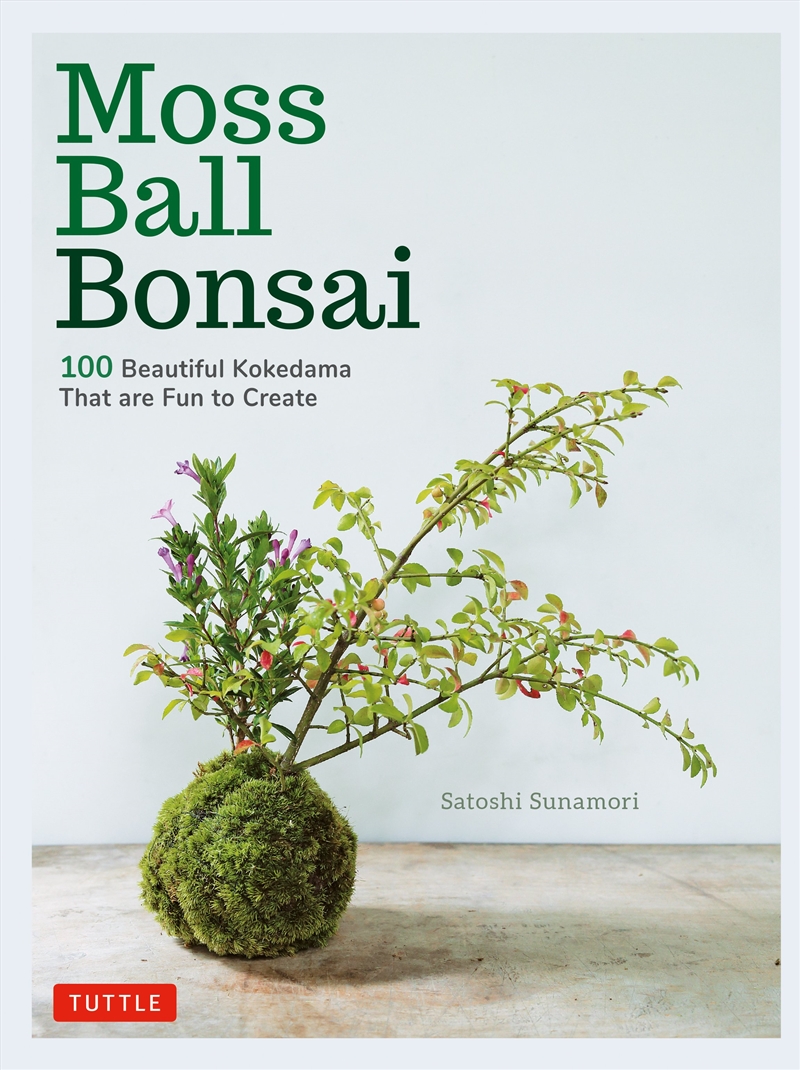 Moss Ball Bonsai/Product Detail/Gardening