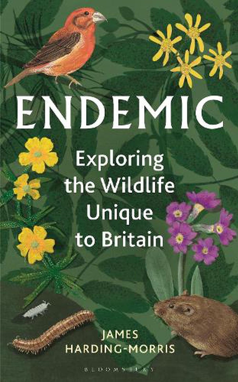 Endemic: Exploring the wildlife unique to Britain/Product Detail/Animals & Nature