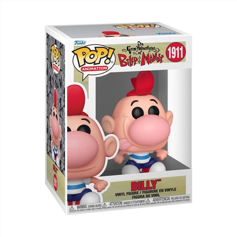 Grim Adventures of Billy & Mandy - Billy Pop! Vinyl/Product Detail/TV