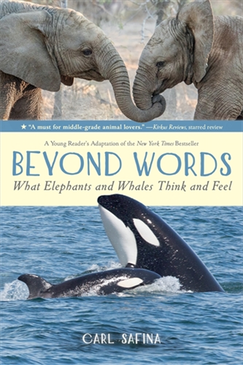 Beyond Words: What Elephants and Whales Think and Feel (A Young Reader's Adaptation)/Product Detail/Childrens