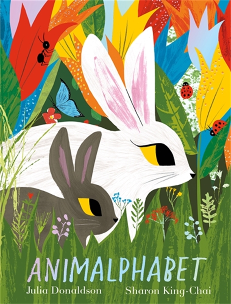 Animalphabet/Product Detail/Early Childhood Fiction Books