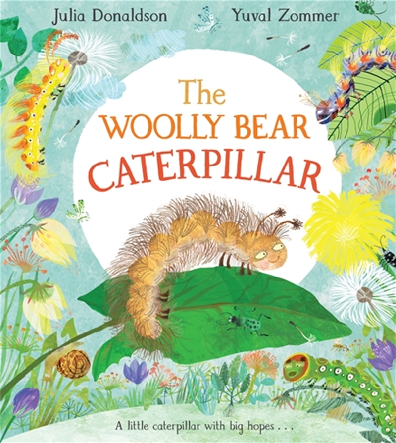 The Woolly Bear Caterpillar/Product Detail/Early Childhood Fiction Books