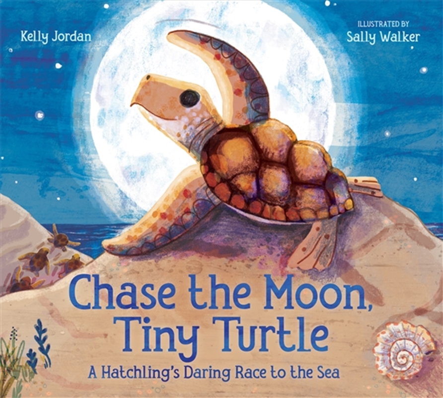 Chase the Moon, Tiny Turtle/Product Detail/Childrens