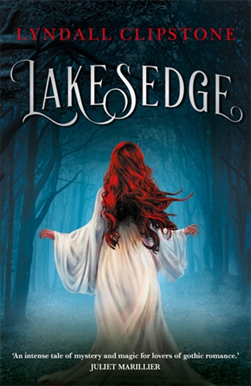 Lakesedge/Product Detail/Childrens Fiction Books