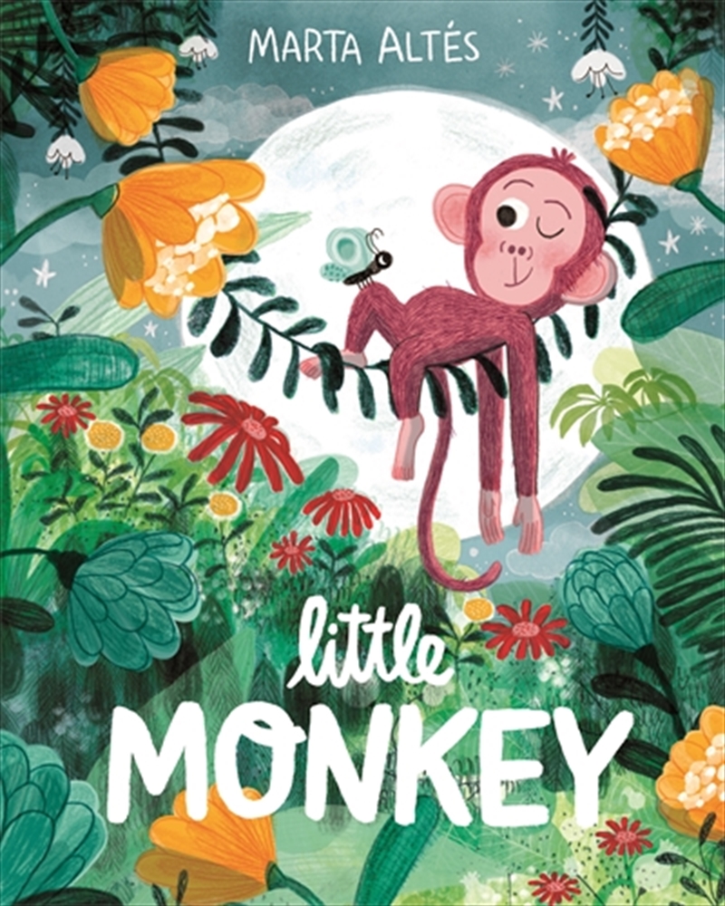 Little Monkey/Product Detail/Early Childhood Fiction Books