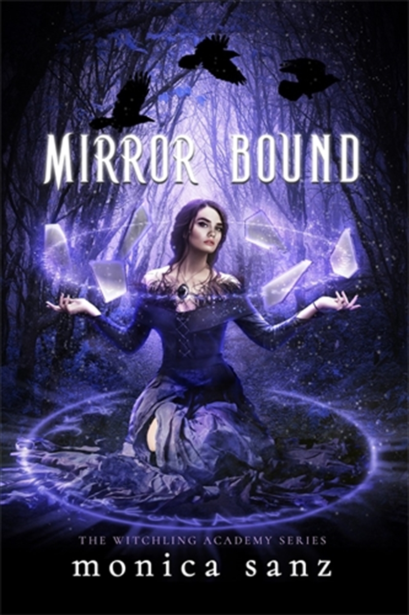 Mirror Bound/Product Detail/Childrens Fiction Books