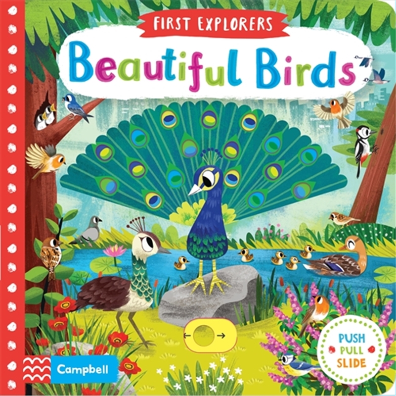 Beautiful Birds/Product Detail/Early Childhood Fiction Books