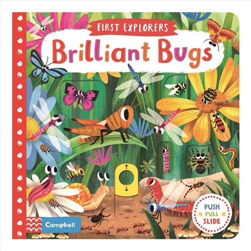 Brilliant Bugs/Product Detail/Early Childhood Fiction Books