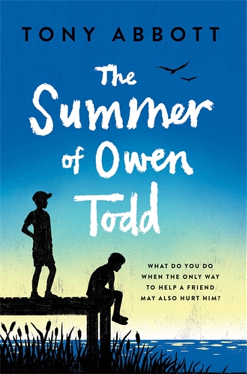 Summer of Owen Todd/Product Detail/Childrens Fiction Books