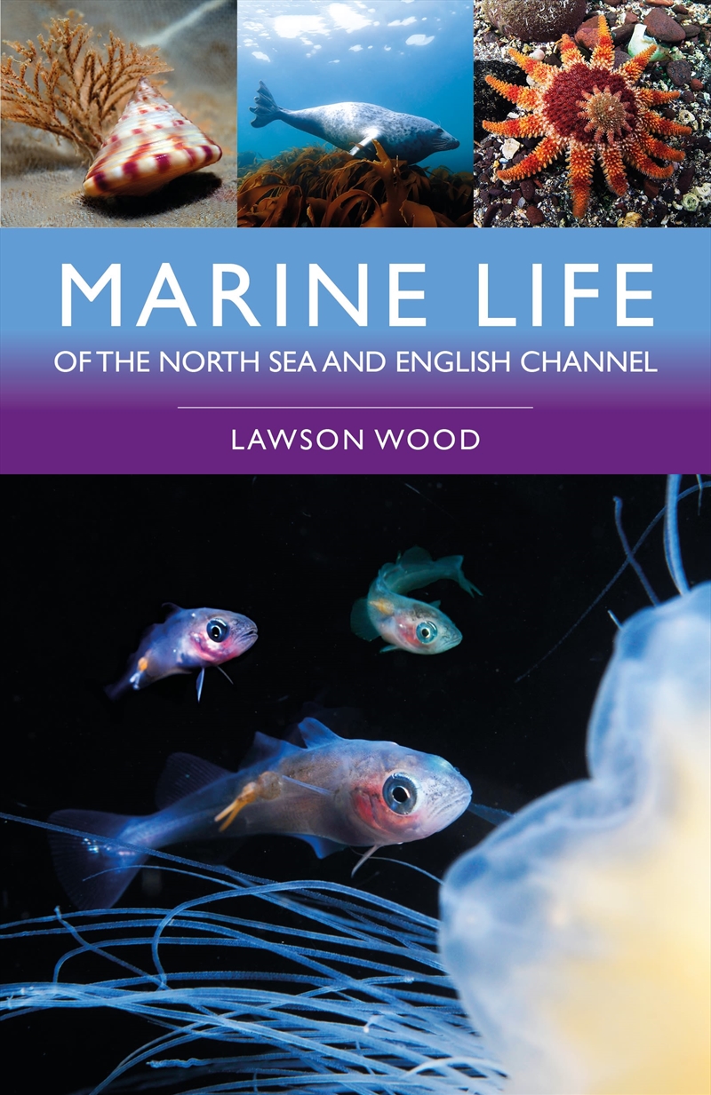 Marine Life of the North Sea and English Channel/Product Detail/Animals & Nature