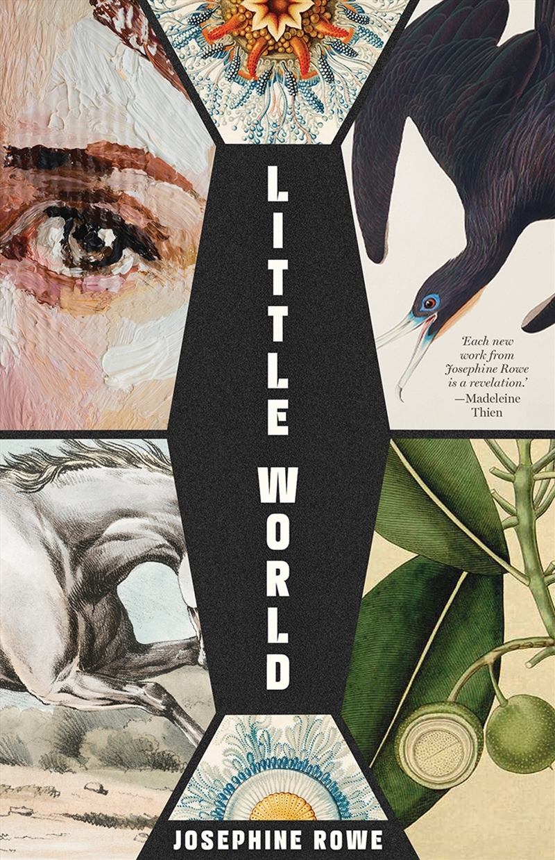 Little World/Product Detail/Modern & Contemporary