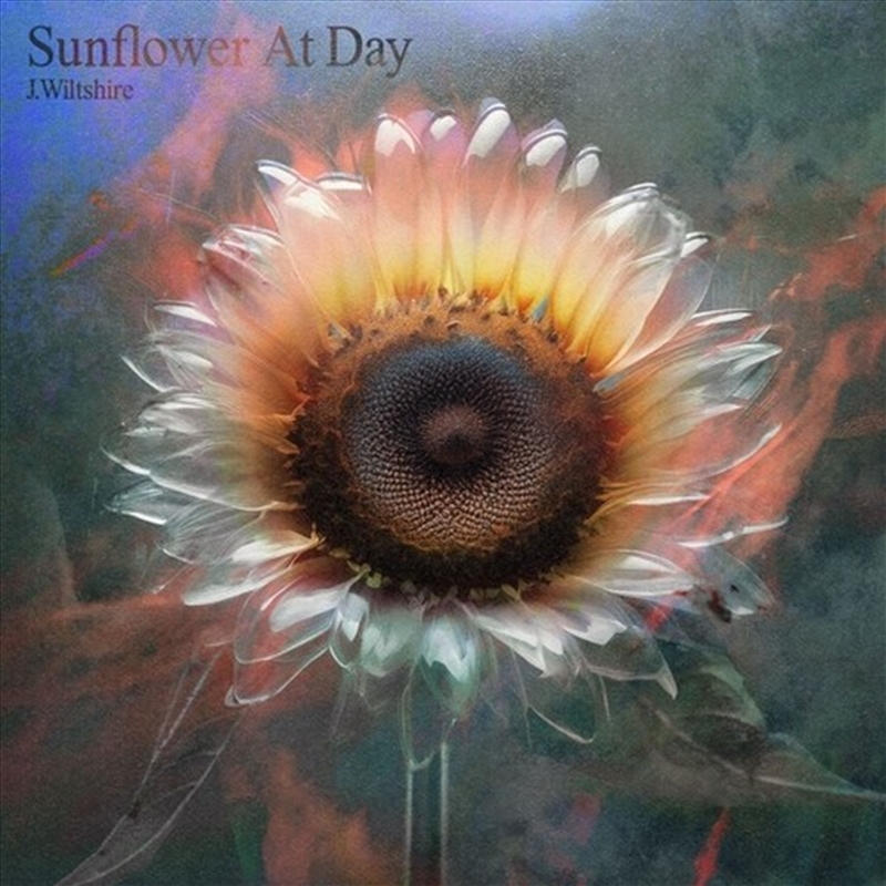 Sunflower At Day/Product Detail/Dance