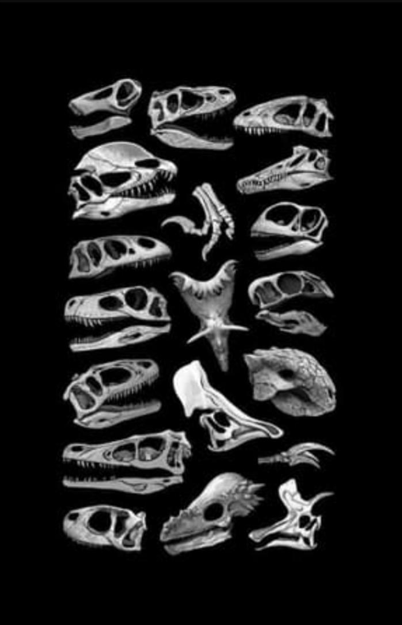 Flowervale Street/Product Detail/Future Release