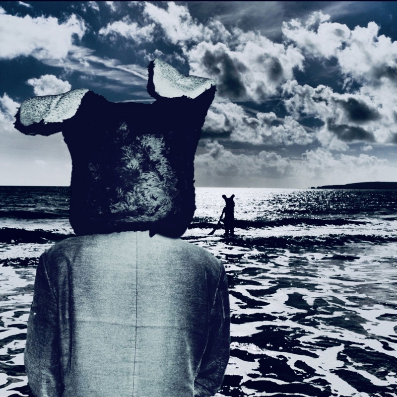 Age Of Loneliness/Product Detail/Rock/Pop