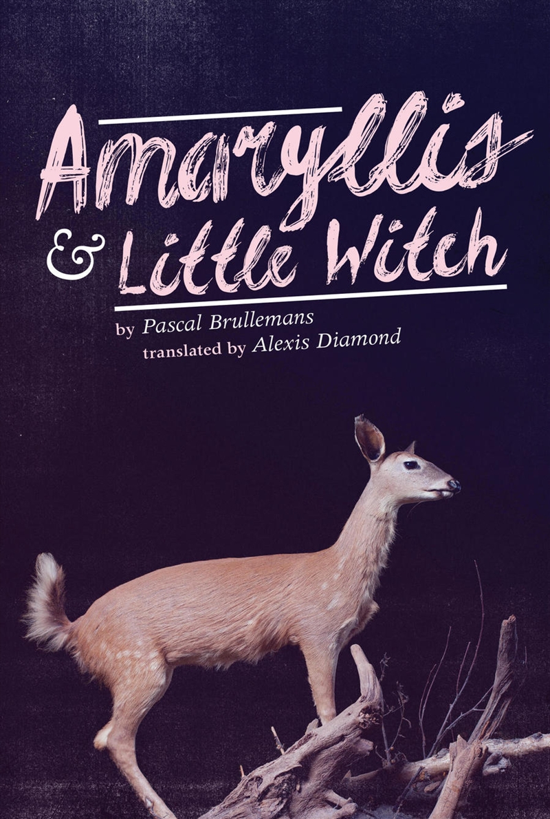 Amaryllis & Little Witch/Product Detail/Literature & Poetry