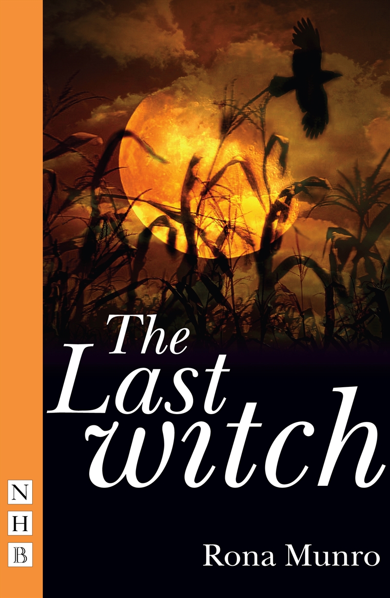 The Last Witch/Product Detail/Literature & Poetry