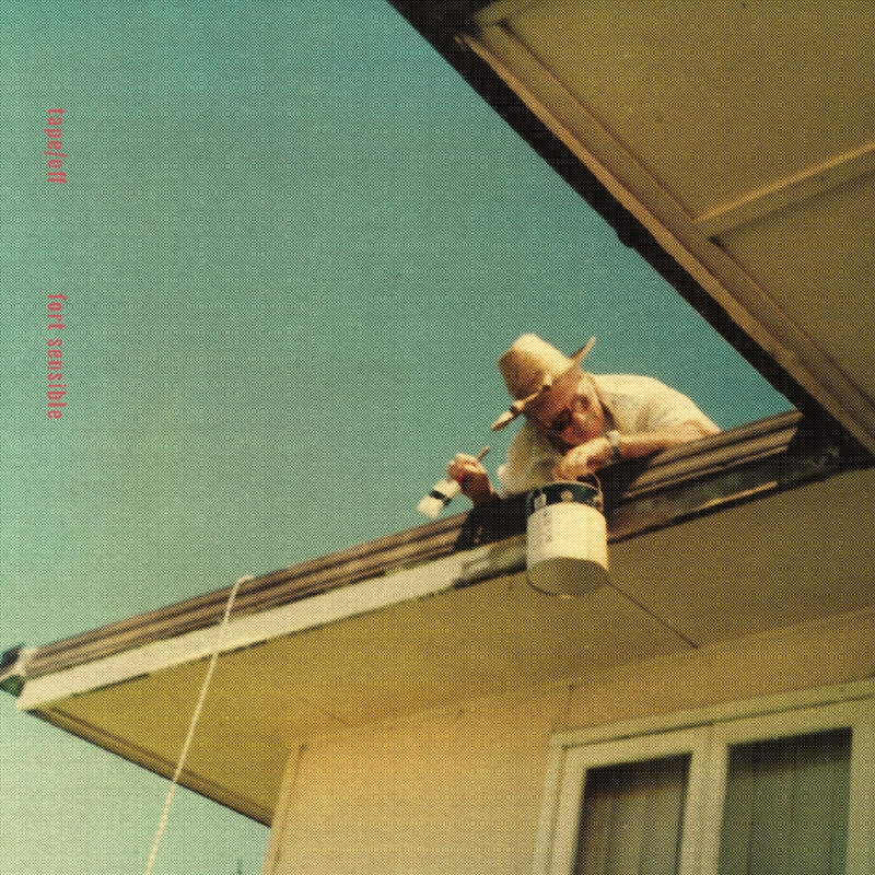 Fort Sensible - Translucent Blue Vinyl/Product Detail/Alternative