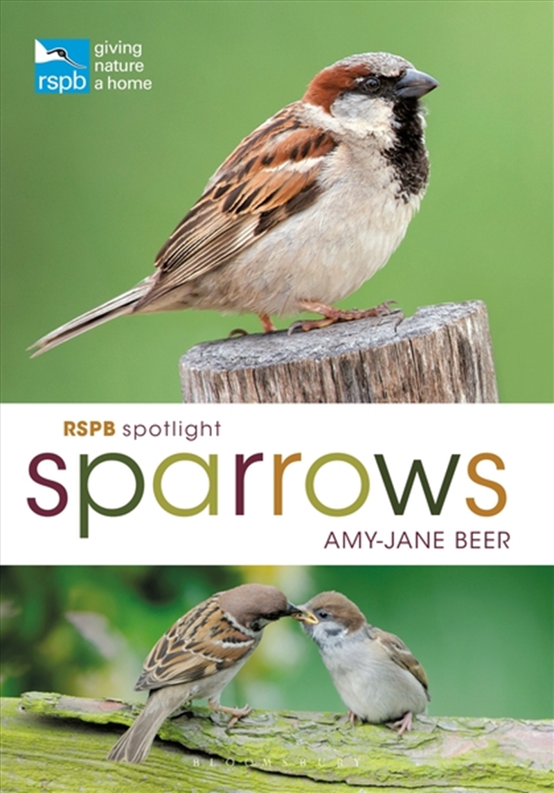 RSPB Spotlight Sparrows/Product Detail/Animals & Nature