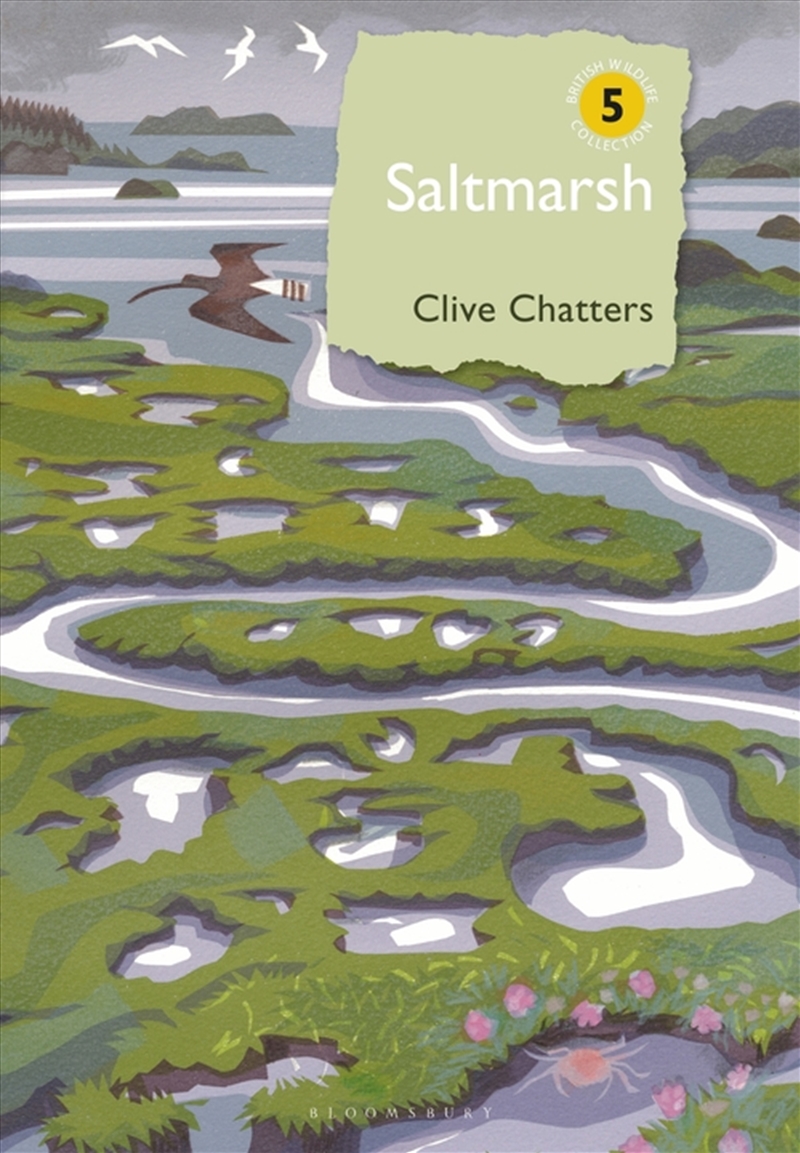 Saltmarsh/Product Detail/Geography