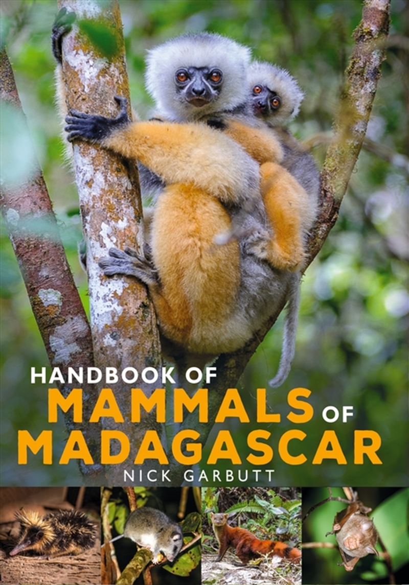 Handbook of Mammals of Madagascar/Product Detail/Animals & Nature