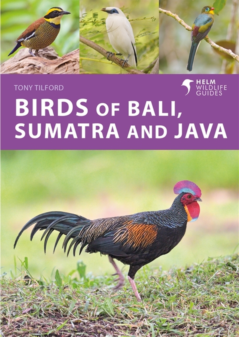 Birds of Bali, Sumatra and Java/Product Detail/Animals & Nature