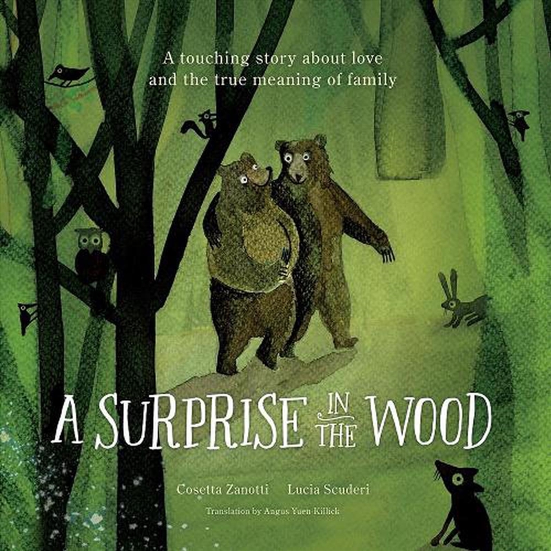 A Surprise in the Wood/Product Detail/Childrens Fiction Books