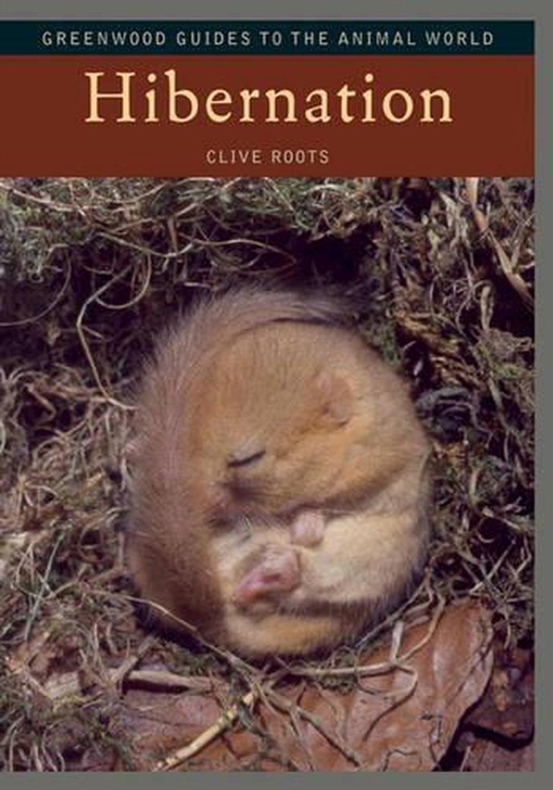 Hibernation/Product Detail/Animals & Nature
