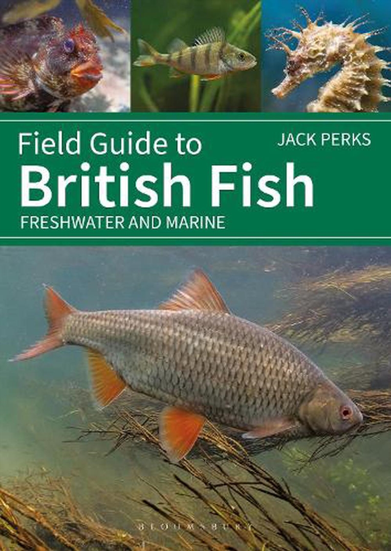 Field Guide To British Fish: Freshwater And Marine/Product Detail/Animals & Nature