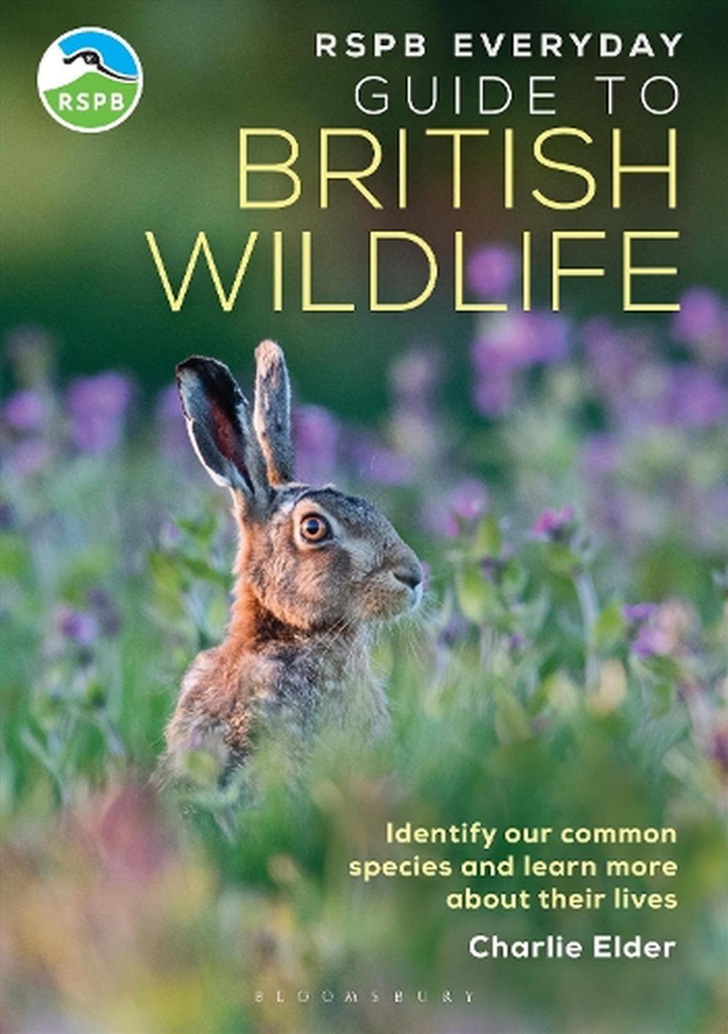 Rspb Everyday Guide To British Wildlife: Identify Our Common Species And Learn More About Their Live/Product Detail/Animals & Nature