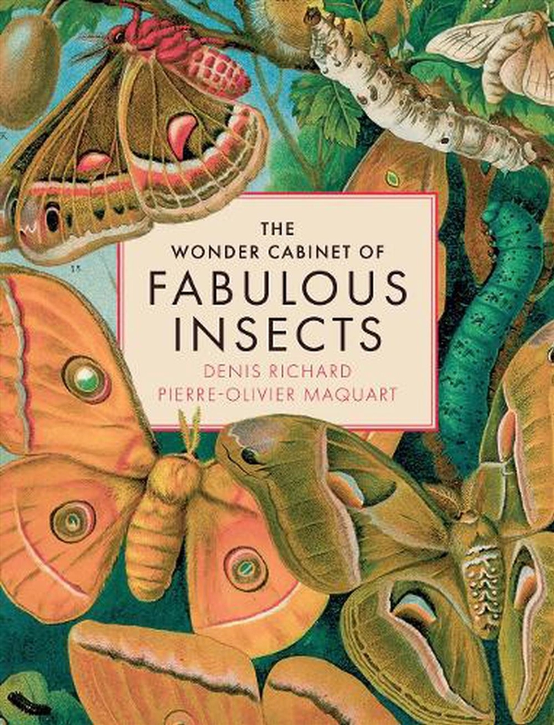 The Wonder Cabinet of Fabulous Insects/Product Detail/Animals & Nature