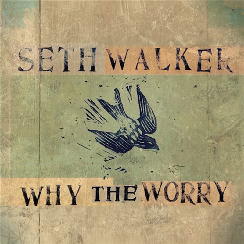 Why The Worry/Product Detail/Blues