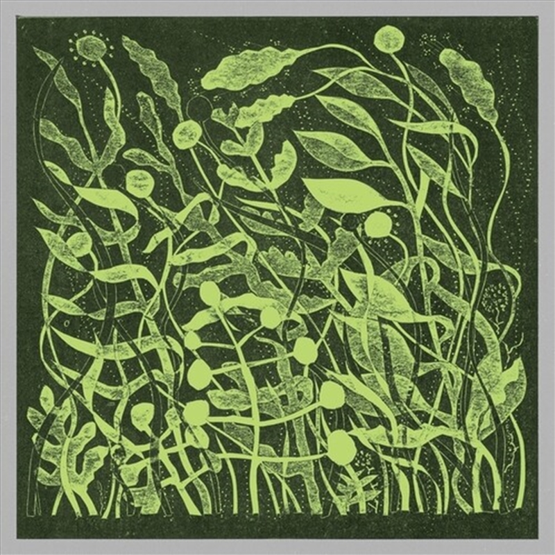 Lux/Product Detail/Dance