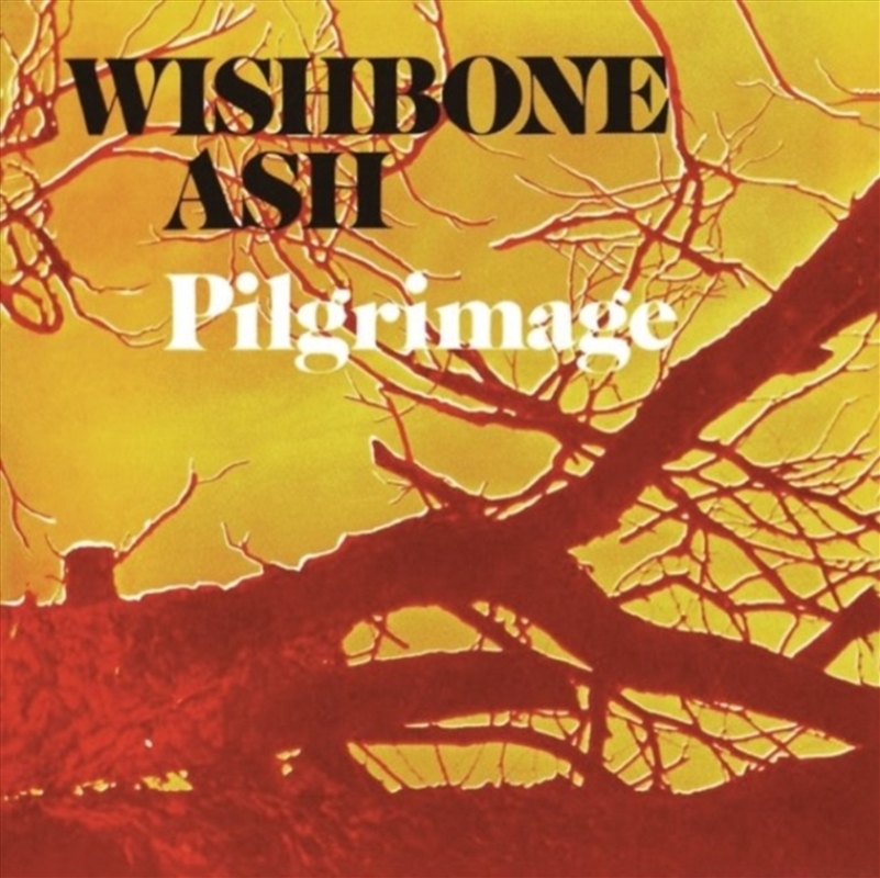 Pilgrimage/Product Detail/Rock/Pop