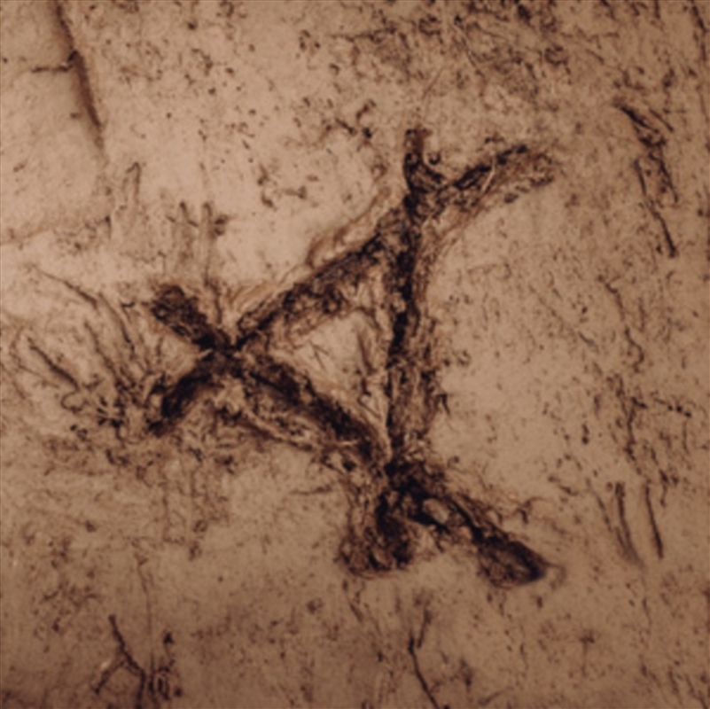 Tracked In Mud/Product Detail/Rock/Pop