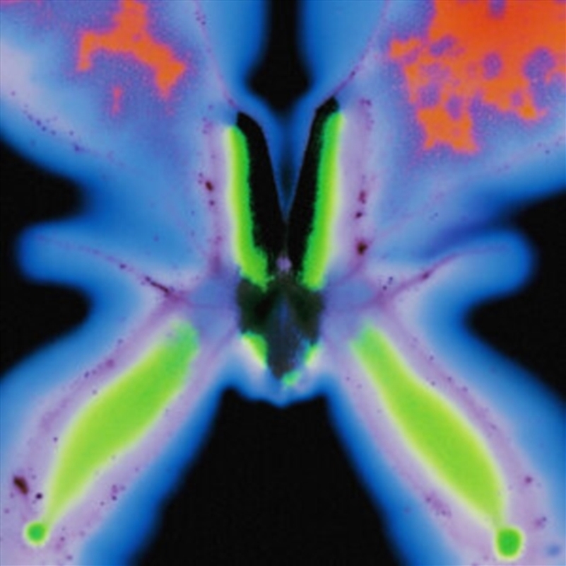 Elvers Pass/Product Detail/Dance