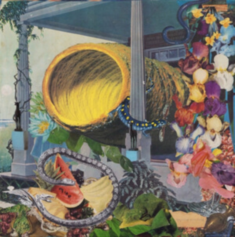 Pruning/Product Detail/Dance